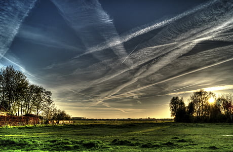 green leaf trees under white and grey cloudy sky during daytime thumbnail