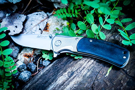 Photography of Knife Near Leaves thumbnail