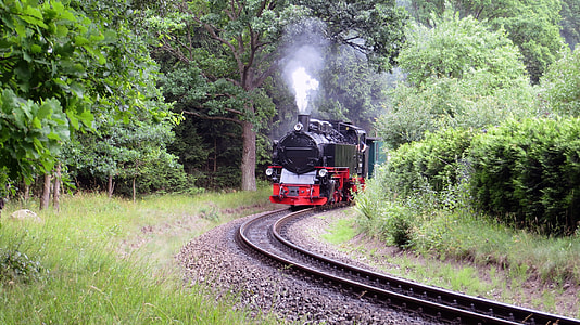 Rasender Roland, Railway thumbnail