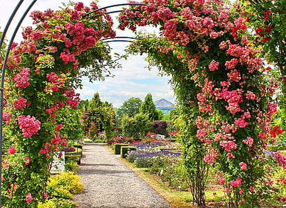 pink flowers arc gate closeup photo thumbnail