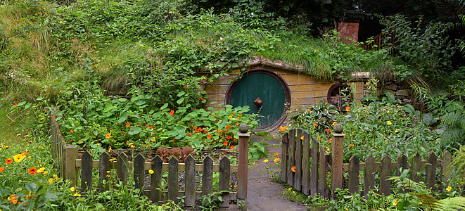 photo of shire with green plants and brown wooden fence thumbnail