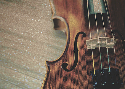 brown violin in focus photography thumbnail