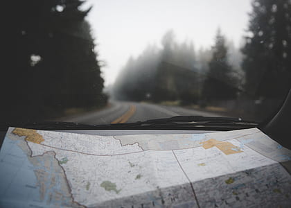 map inside vehicle on road near forest thumbnail