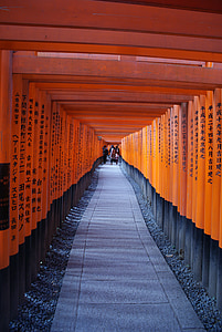 person walking on orange and gray hallway thumbnail