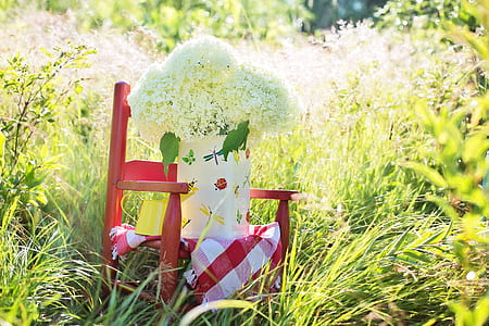 white cluster flowers in vase on red armchair at daytime thumbnail