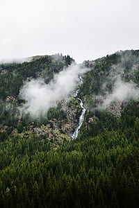 aerial view photography of river surrounding by green trees thumbnail
