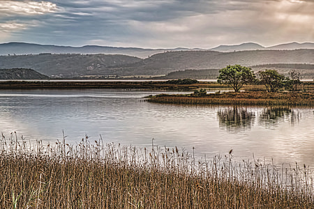 green tree on brown field with body of water and mountain thumbnail