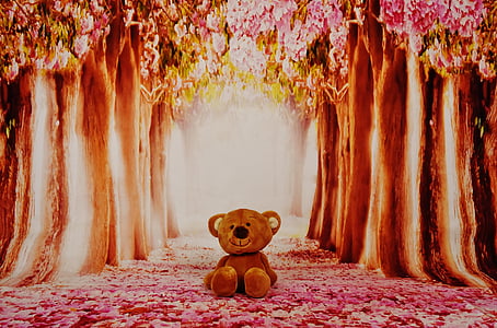brown bear plush toy in the middle of forest thumbnail