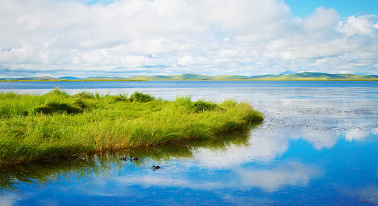green grass field near body of water under white clouds during daytime thumbnail