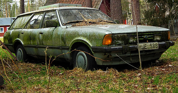 green station wagon covered in moss next to brown tree thumbnail
