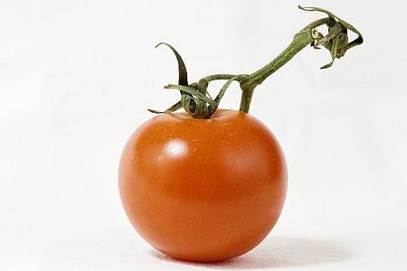 orange tomato photography thumbnail