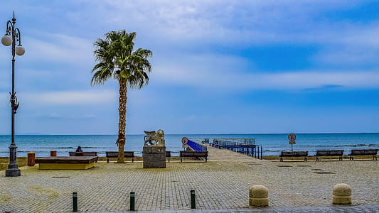 green palm tree near body of water during daytime thumbnail