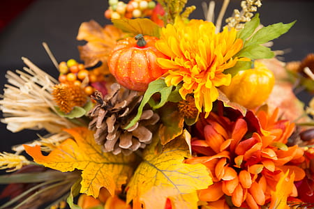 close-up photography of yellow and orange petaled flowers thumbnail
