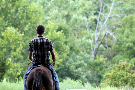 bokeh photography of man riding horse near green trees thumbnail