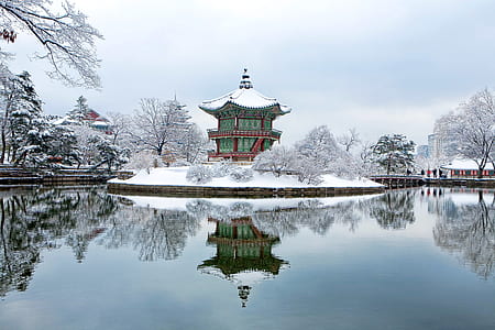 green and red pagoda covered of snow during daytime thumbnail