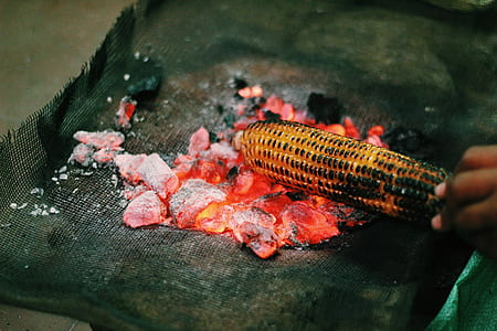 person grilling corn thumbnail