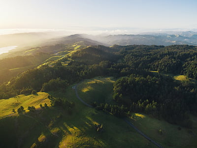 birds eye view of trees and mountains thumbnail