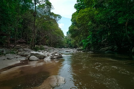 landscape, nature, water, rocks thumbnail