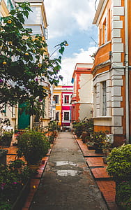orange and white concrete building with flowers at daytime thumbnail