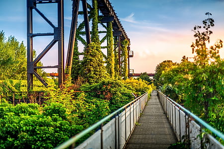 gray concrete dock between green trees under blue sky at daytime thumbnail