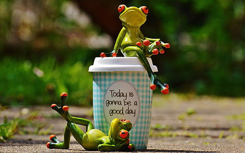 two tree frog ceramic figurines and green tumbler thumbnail