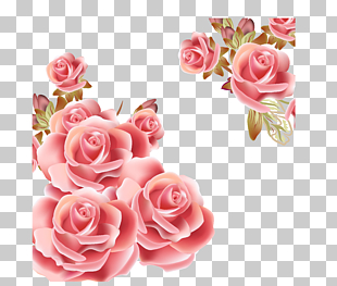 Flower Rose Pink , Rose Background, pink rose flower PNG clipart