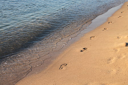 footprint on sea sand thumbnail