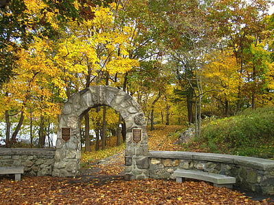 gray concrete bench surrounded by tall trees thumbnail