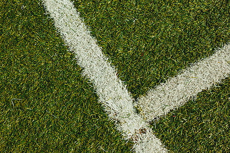 green grass field thumbnail