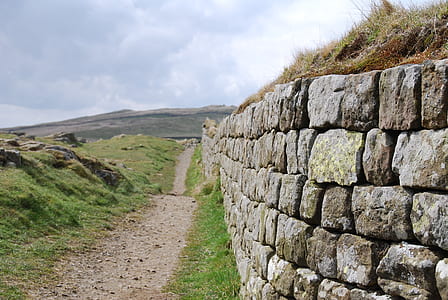 gray pathway between grass field near concrete brick wall thumbnail