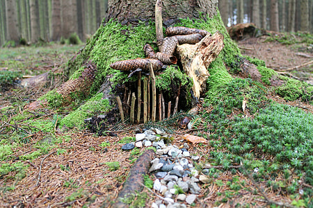 pebbles near trees at daytime thumbnail