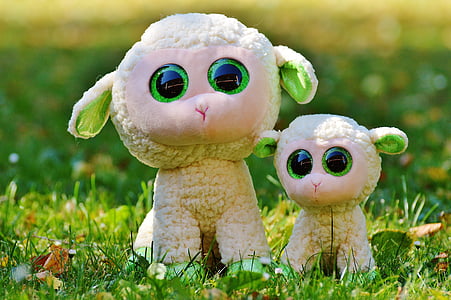selective focus photography of two sheep plush toys on ground thumbnail