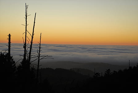 photography of ocean under sky thumbnail