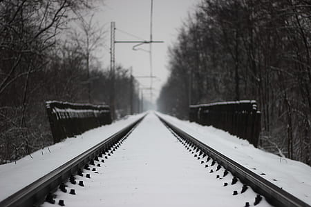 photo of train rail tracks thumbnail