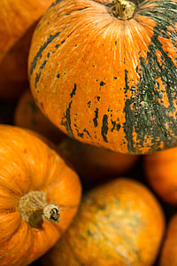 Close-ups of pumpkins in a wooden box thumbnail