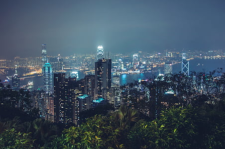 trees near highrise buildings at night thumbnail