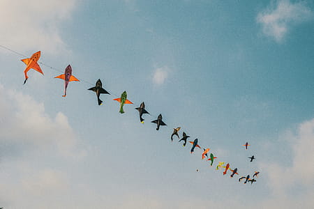 Assorted-color Kites thumbnail