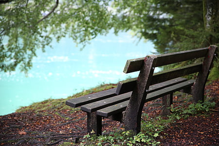 shallow focus photography of brown bench thumbnail