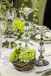 clear wine glass near plant thumbnail