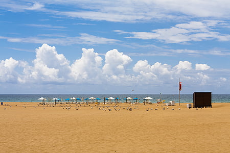 white and blue patio umbrellas near seashore thumbnail