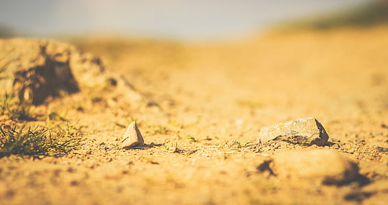 selective focus photography of brown rocks thumbnail
