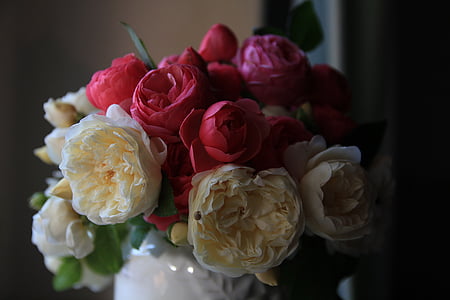 selective focus photography of white and red roses thumbnail