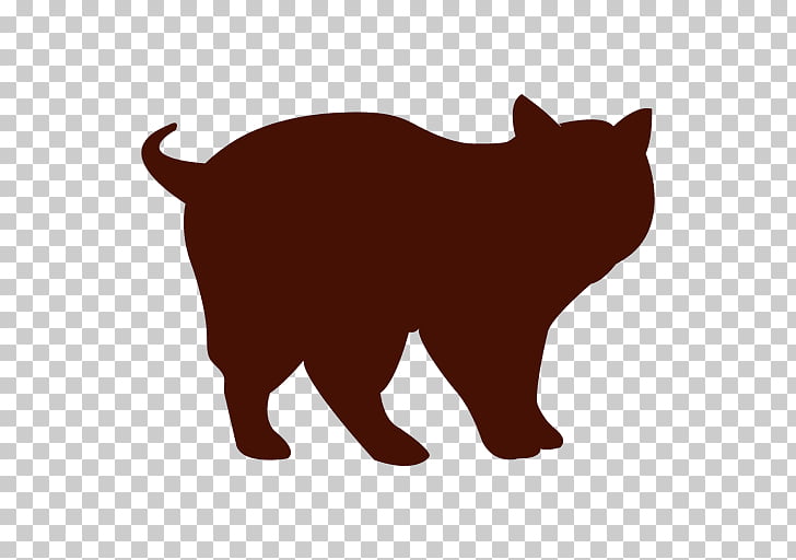 Black Cat Manx Cat Domestic Short Haired Cat Whiskers Scottish