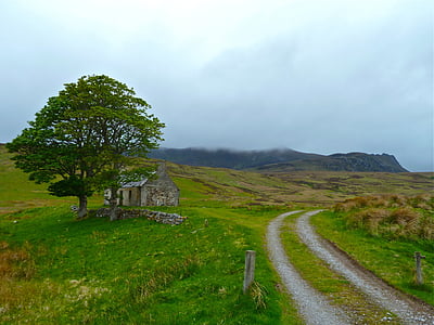 gray concrete house near green tree with stony pavement at distance during daytime thumbnail