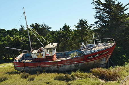 red and grey fishing boat on green grass field thumbnail