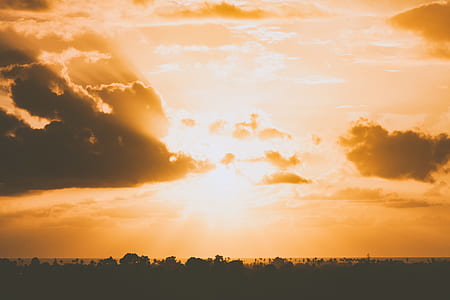 silhouette of trees under orange sky during golden hour thumbnail