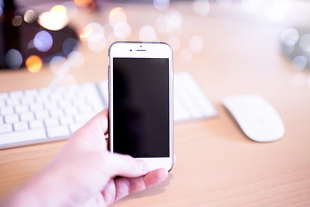 person holding silver iPhone 6 thumbnail
