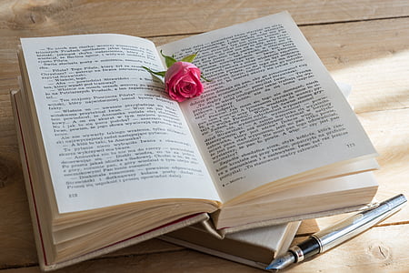 pink flower on opened book thumbnail