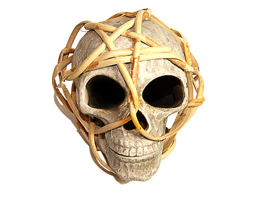 white skull decoration thumbnail