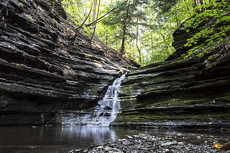 waterfalls surrounded by trees thumbnail